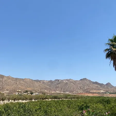 Paraje Natural, 6 Habitaciones, Piscina, 1800m2, Cesped * La Murada